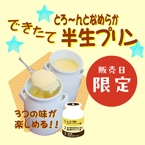 できたて半生プリン