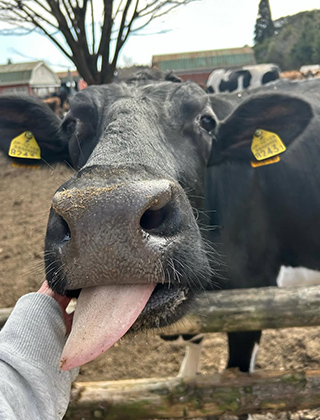 動物ふれあいランド