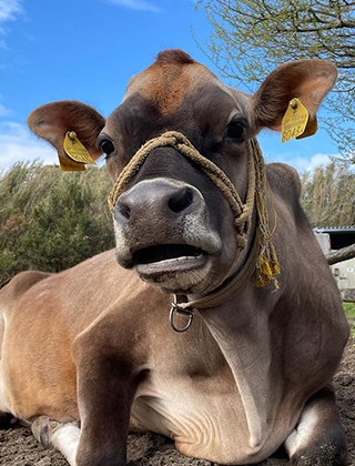 動物ふれあいランド