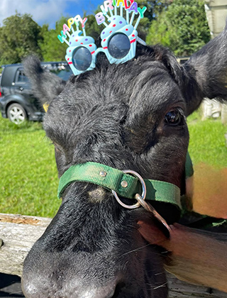 動物ふれあいランド