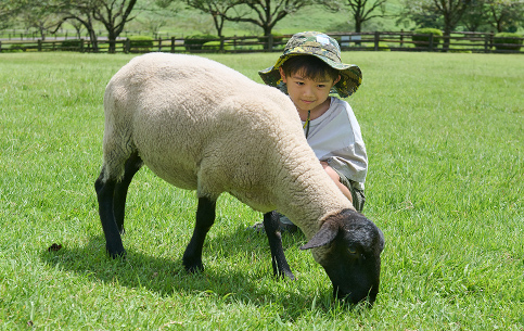 動物ふれあいランド