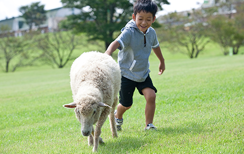 動物ふれあいランド