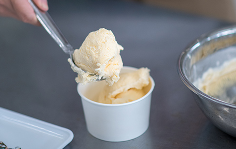 アイスクリーム手作り体験