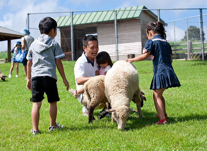 動物ふれあいランド