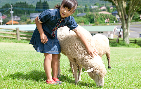 動物ふれあいランド