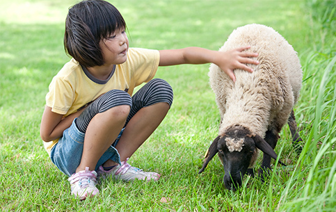 動物ふれあいランド