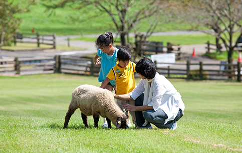 動物ふれあいランド
